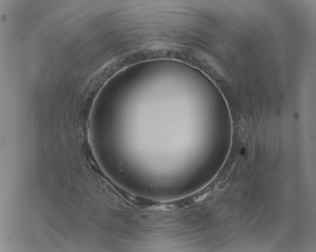 X0000069360821200605192056