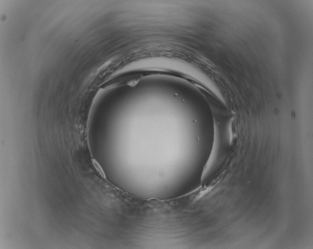 X0000069360822200605192056