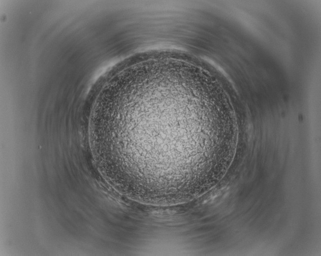 X0000069360823200605192056