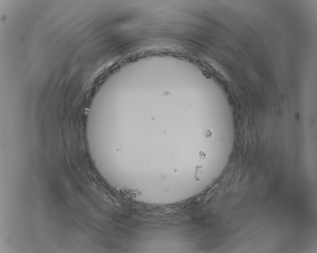 X0000069360824200605192056