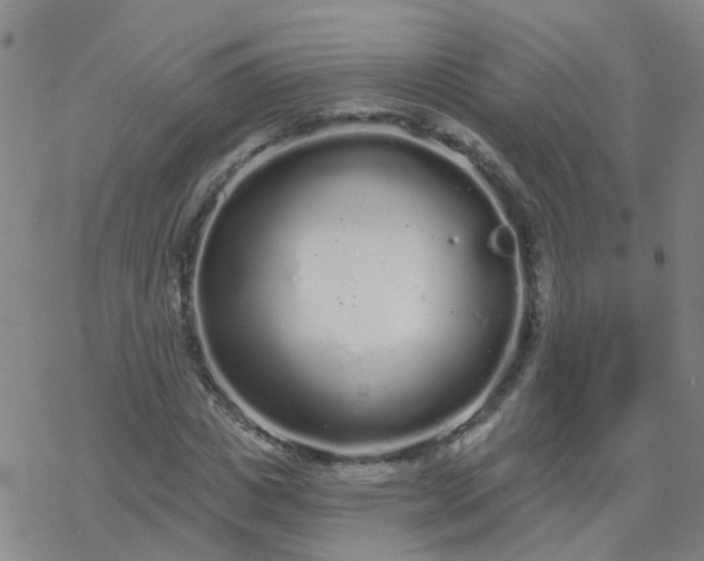 X0000069360825200605192056