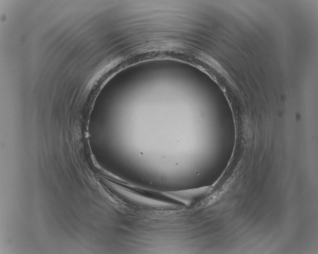 X0000069360826200605192056