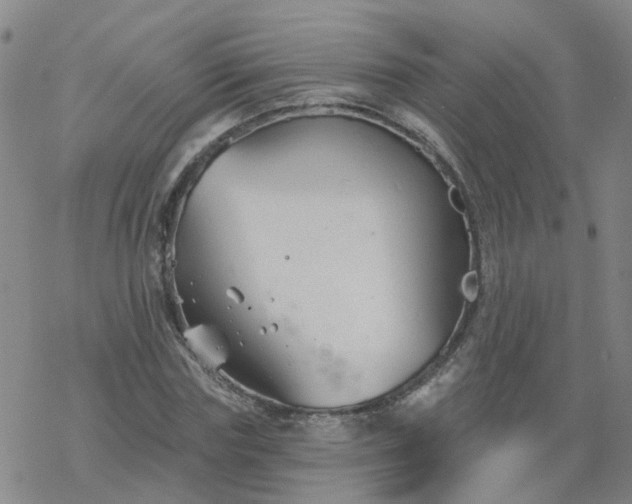 X0000069360827200605192056