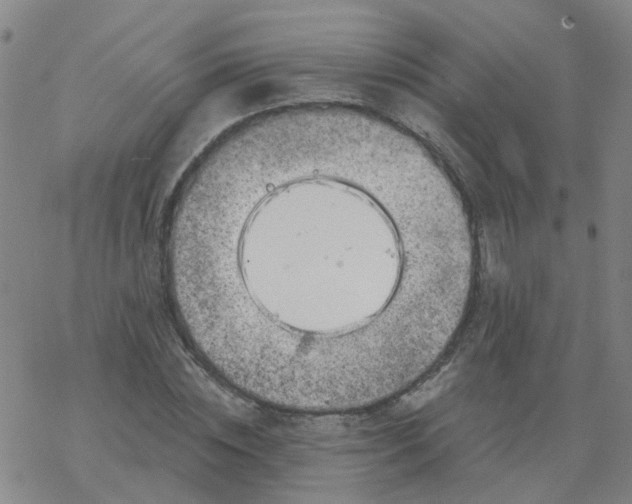 X0000069360828200605192056