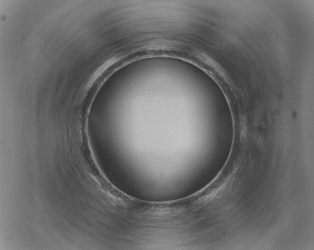 X0000069360829200605192056