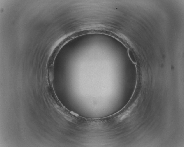 X0000069360830200605192056