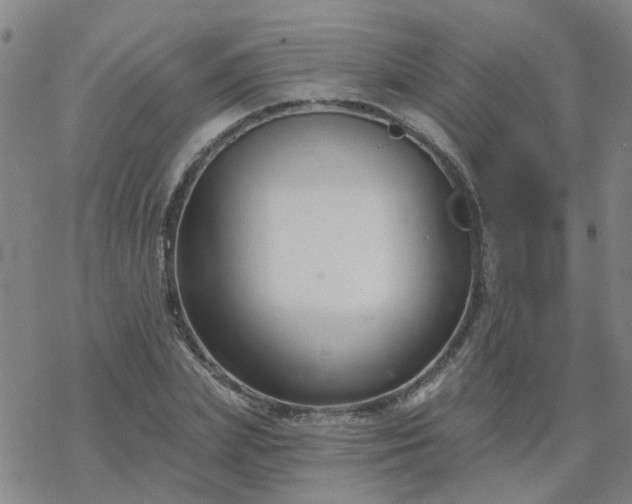 X0000069360831200605192056