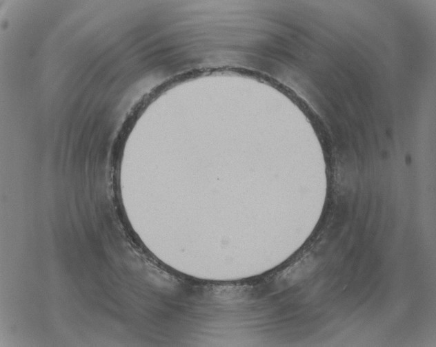 X0000069360832200605192056