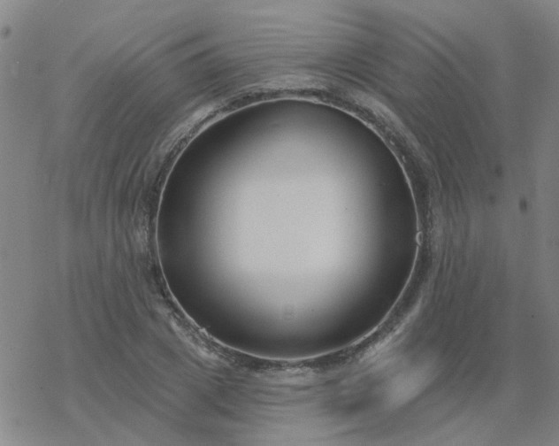 X0000069360833200605192056