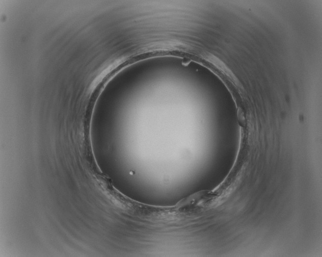 X0000069360834200605192056