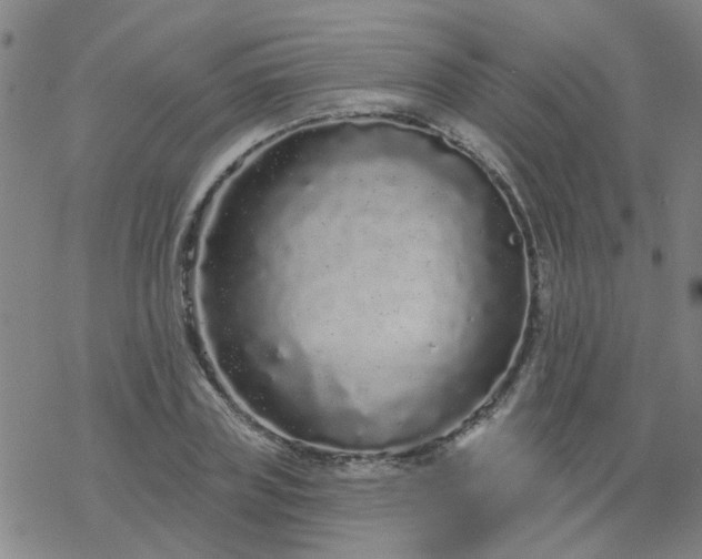 X0000069360835200605192056