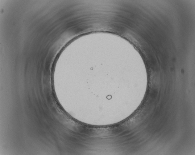 X0000069360836200605192056