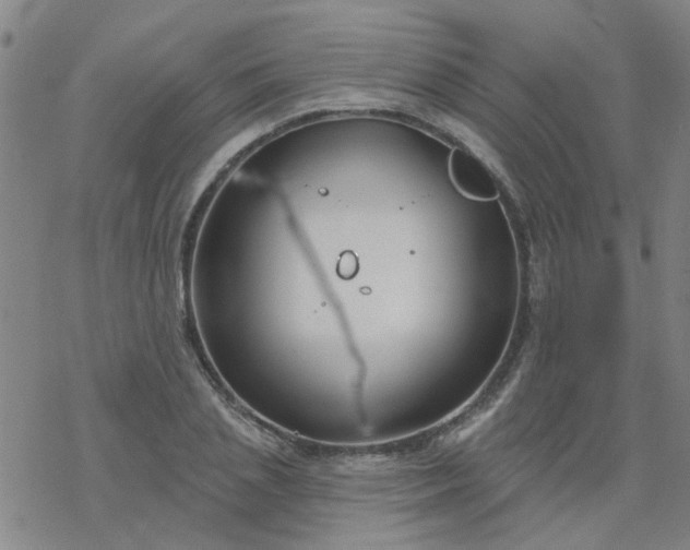 X0000069360837200605192056