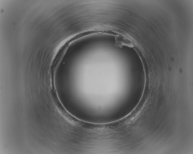 X0000069360838200605192056