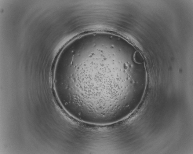 X0000069360839200605192056