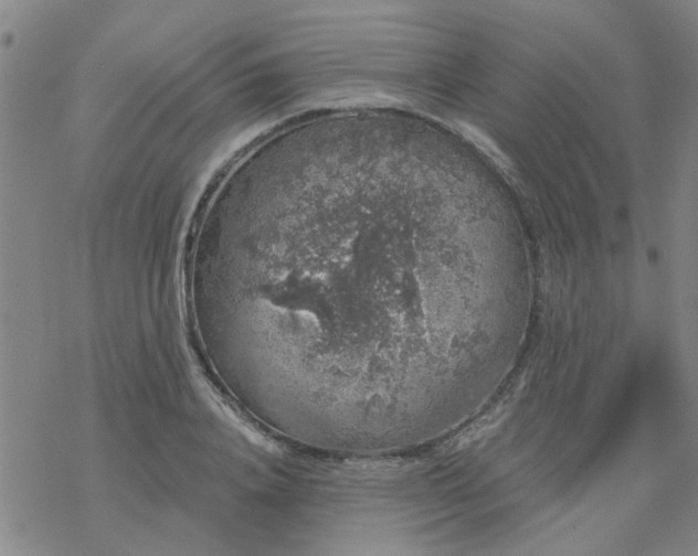 X0000069360840200605192056