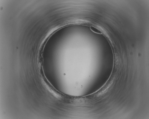 X0000069360843200605192056