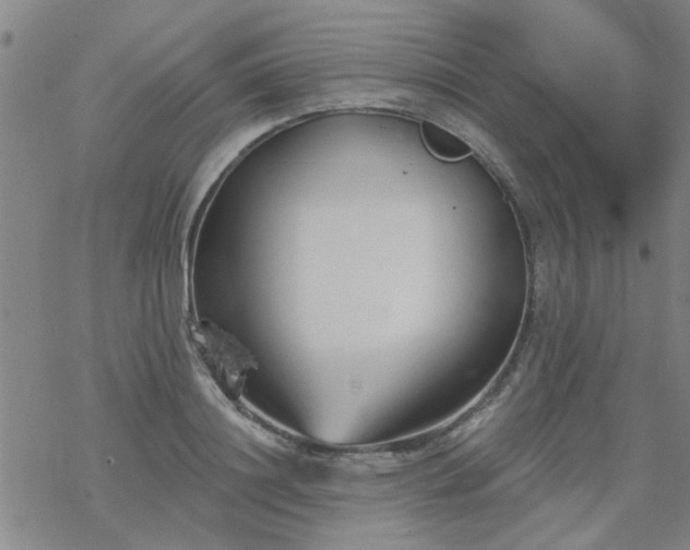 X0000069360844200605192056