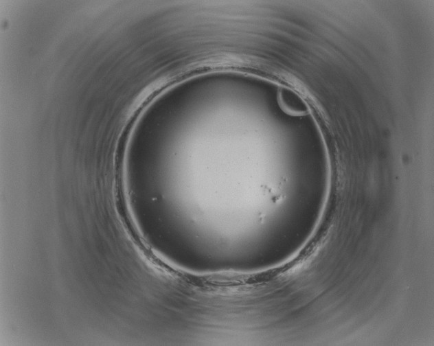 X0000069360845200605192056