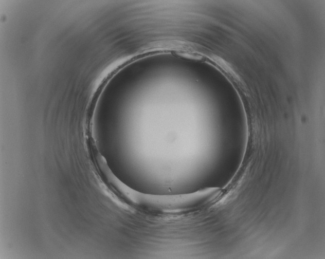 X0000069360846200605192056