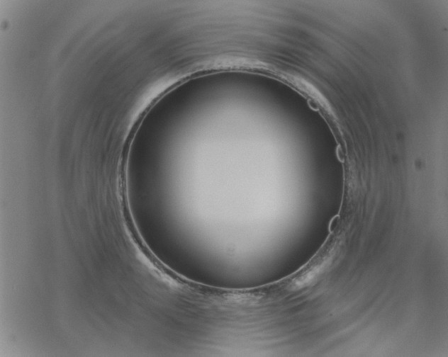 X0000069360847200605192056