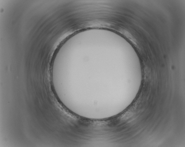 X0000069360848200605192056