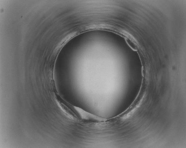 X0000069360849200605192056