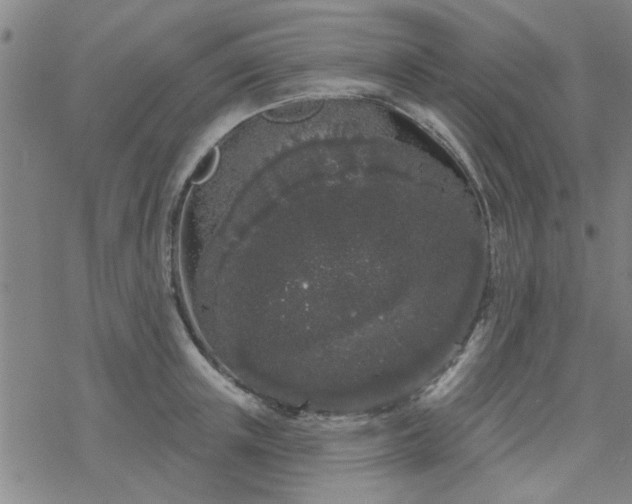 X0000069360851200605192056