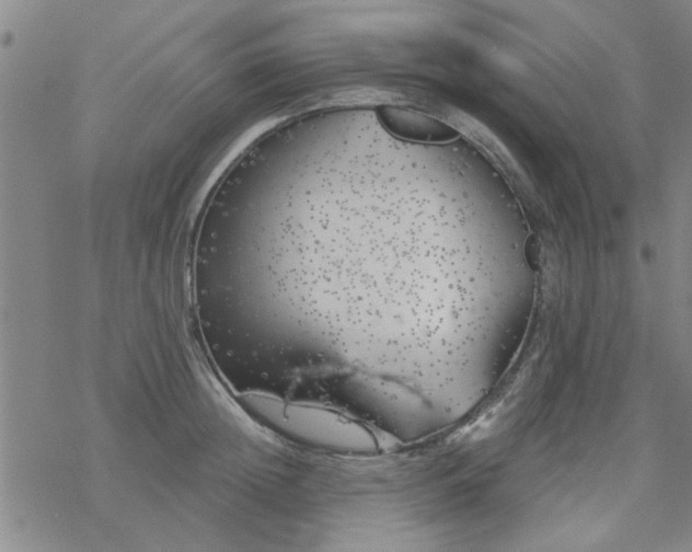 X0000069360852200605192056