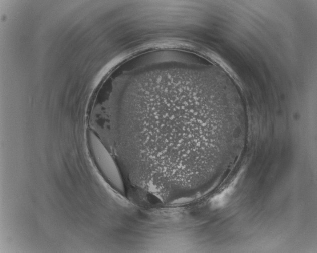 X0000069360853200605192056