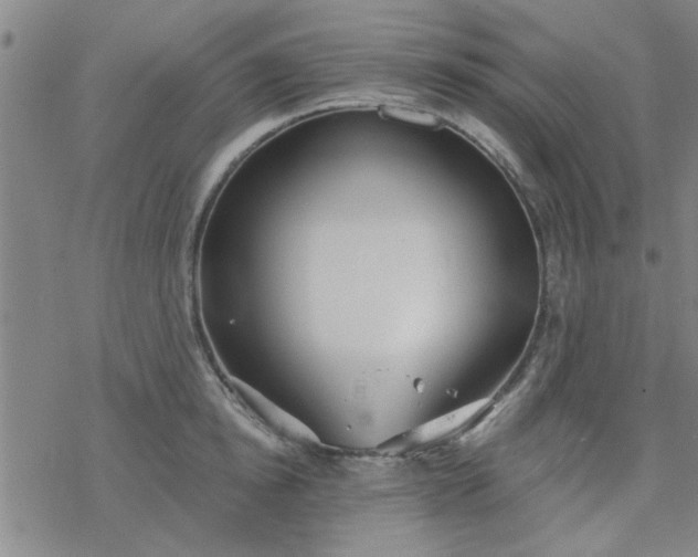 X0000069360854200605192056