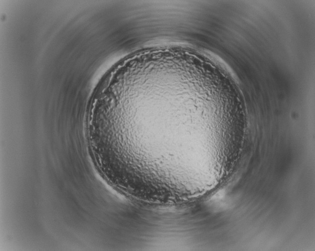 X0000069360855200605192056