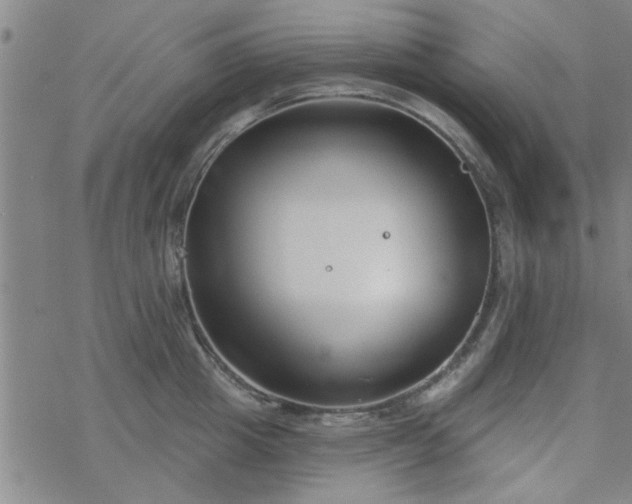 X0000069360857200605192056