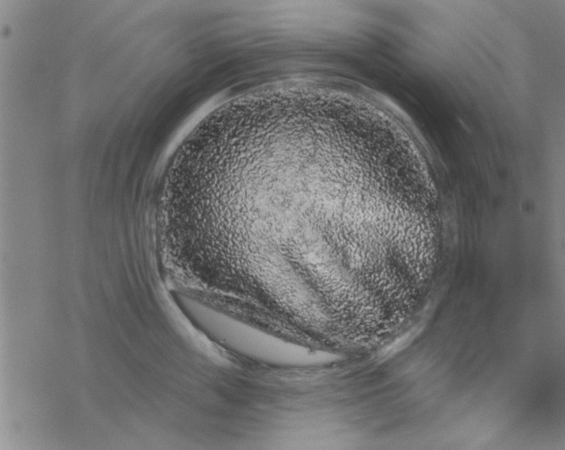 X0000069360859200605192056