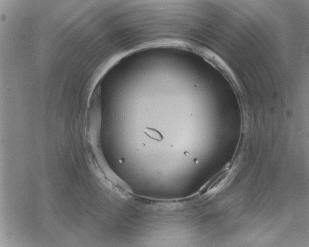 X0000069360860200605192056