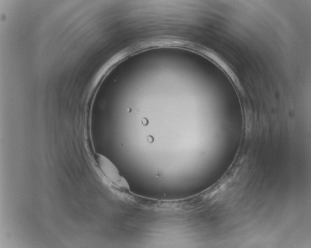 X0000069360861200605192056