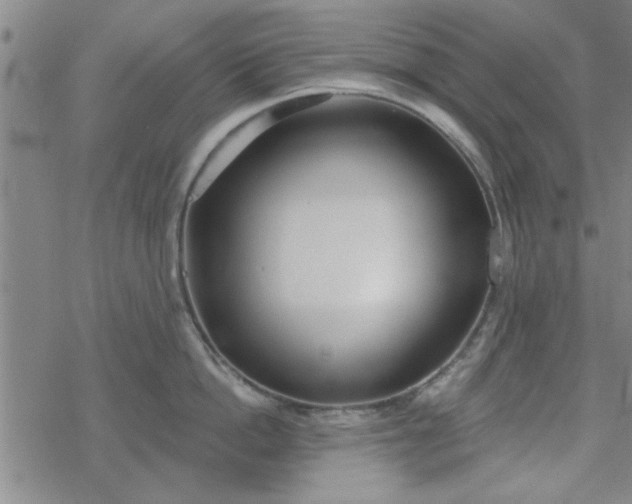 X0000069360862200605192056