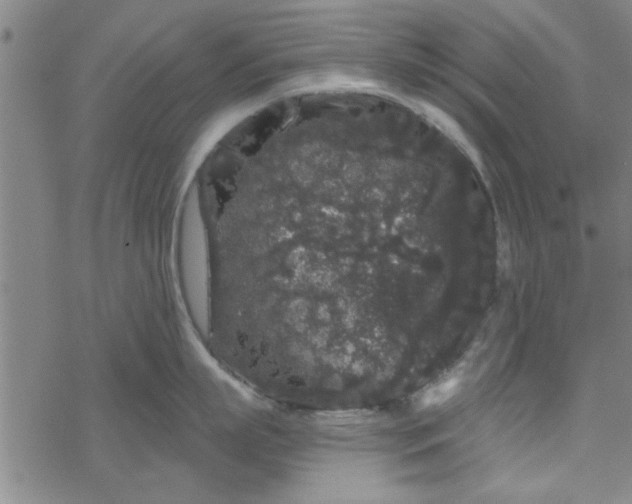 X0000069360863200605192056