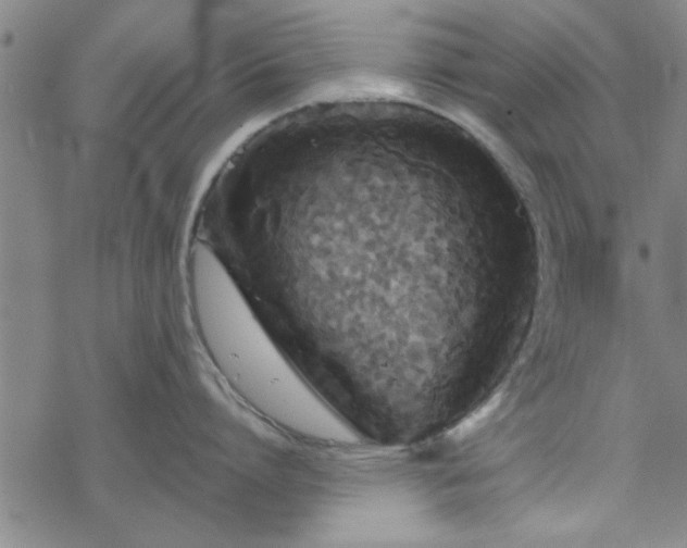 X0000069360864200605192056