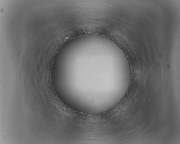 X0000069360865200605192056