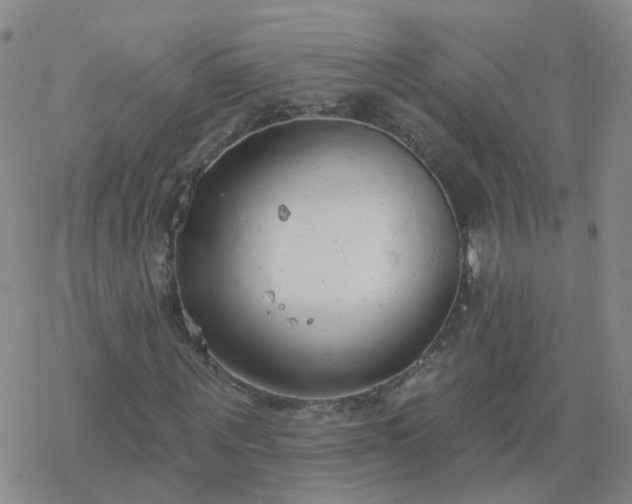 X0000069360867200605192055