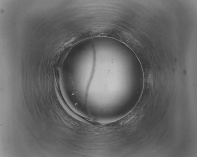 X0000069360868200605192055