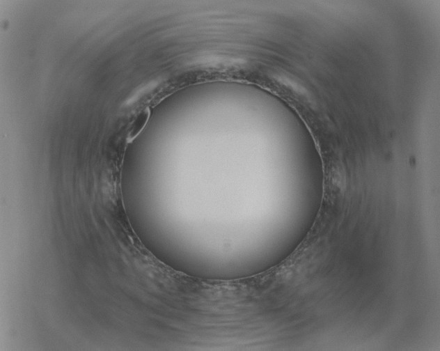 X0000069360869200605192055