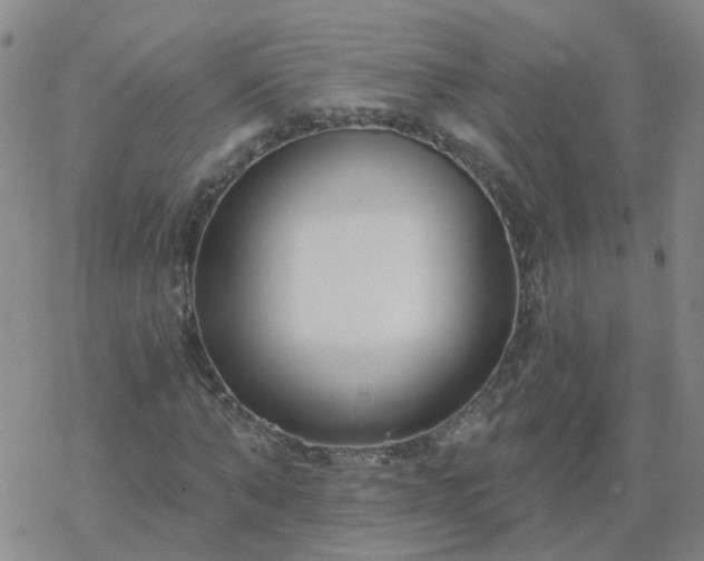 X0000069360870200605192055