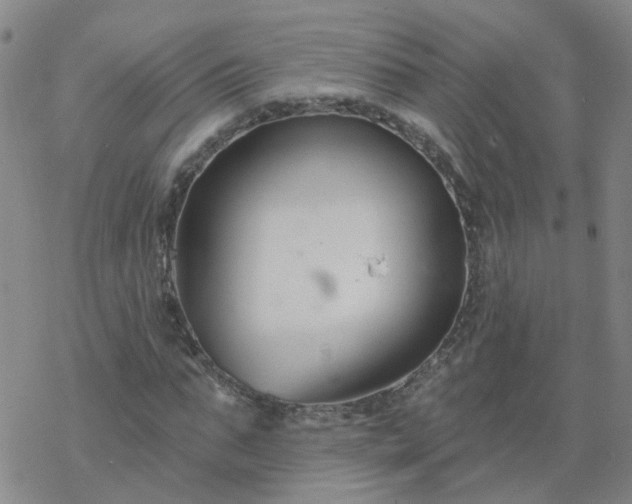 X0000069360871200605192055