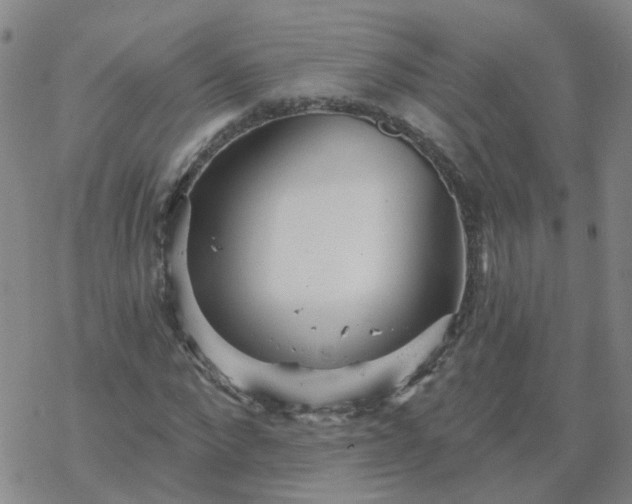 X0000069360872200605192055