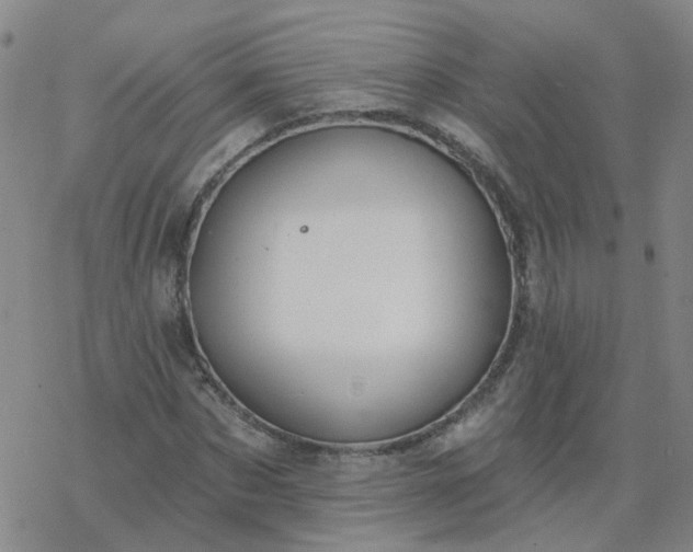 X0000069360873200605192055