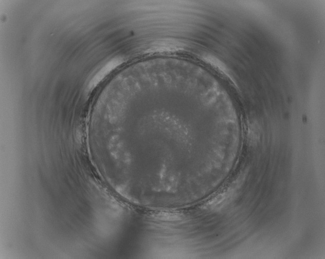 X0000069360874200605192055