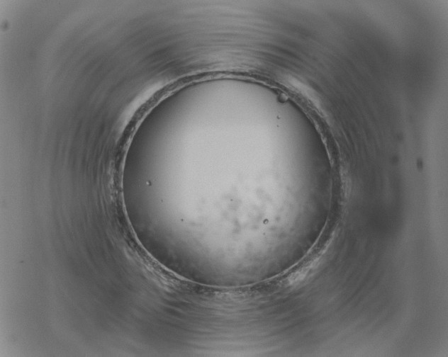 X0000069360875200605192055