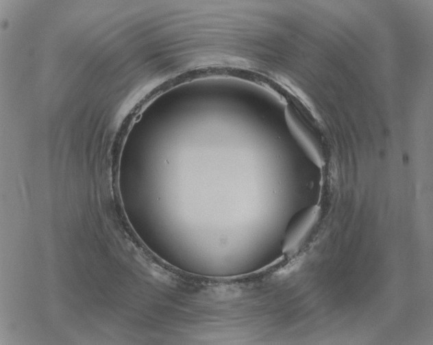 X0000069360877200605192055